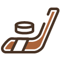nhl betting icon